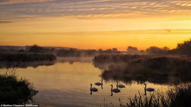 Конкурс фотографий дикой природы Essex Wildlife Trust