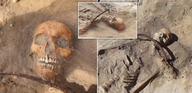 В Польше нашли могилу девушки «вампира» из XVII века с приставленным серпом к горлу, чтобы она не восстала из мёртвых